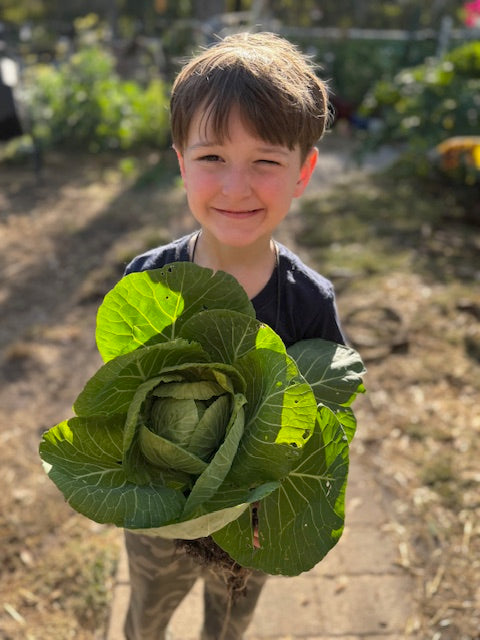 Miss Carolines garden tour class